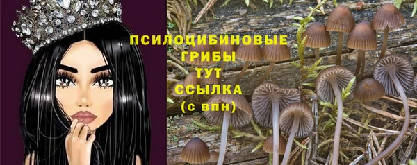 MDMA Premium VHQ Сафоново