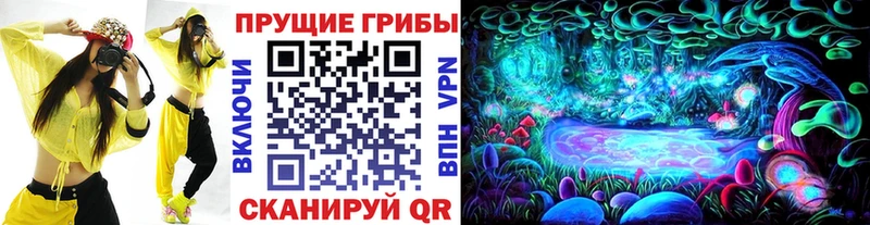 блэк спрут ТОР  продажа наркотиков  Будённовск  Галлюциногенные грибы ЛСД 